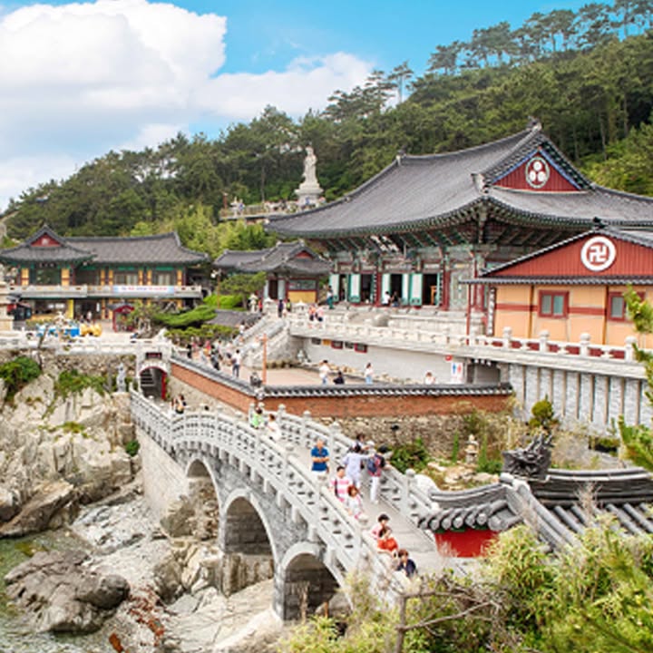 #korean #korea #koreaapplication #koreatravel #koreatour #busan #busantour #busantravel #KETAapplication #KETA #VISAETA