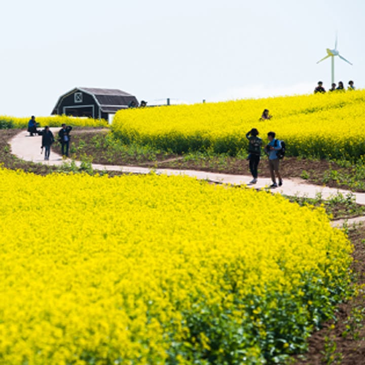 #koreanfood #korea #koreaapplication #koreatravel #koreatour #koreanstyle #KETAapplication #KETA #VISAETA