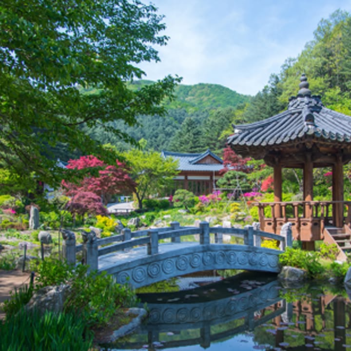 #korean #korea #koreaapplication #koreatravel #KETAapplication #spring #koreaETA #ETAapplication #KETA #VISAETA