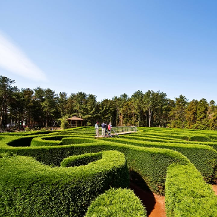 #korea #jeju #jejudo #jejuisland #koreatravel #koreaETA #korean #jejutour #koreatravel #koreatour #KETAapplication #KETA #ETA #VISAETA