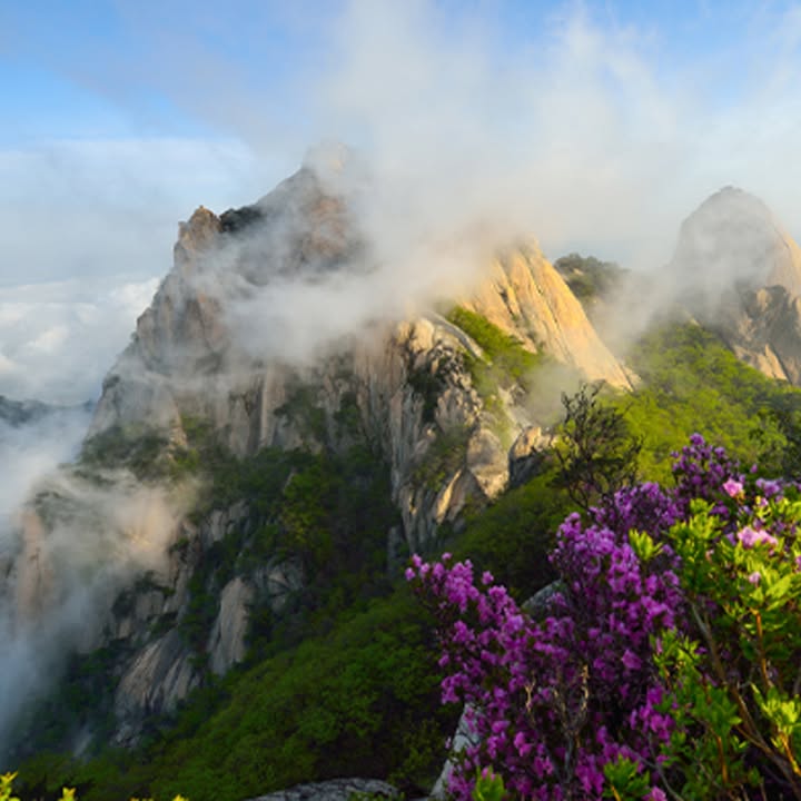 #korean #korea #seoul #seoultour #koreatravel #koreatour #seoultravel #travel #koreaETA #KETA #KETAapplication #koeraETA #KETA #VISAETA