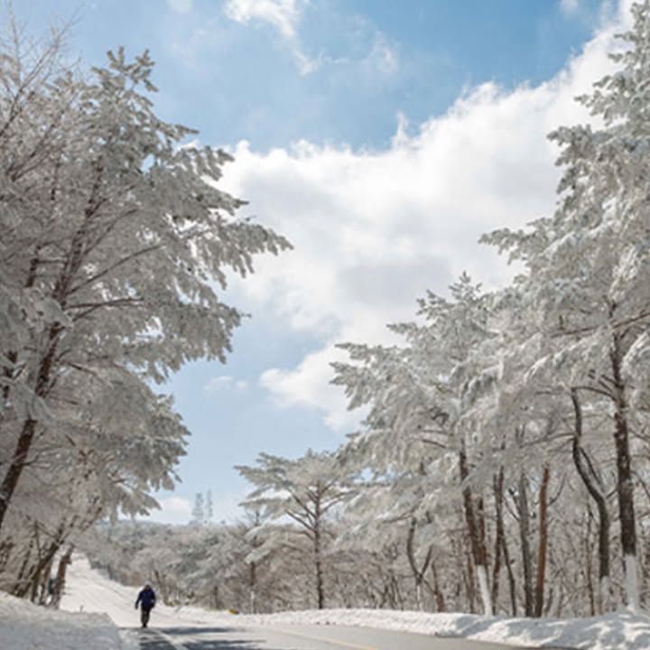 #Jeju #korea #koreatravel #jejutour #travel #koeraETA #KETAapplication #koeraETA #KETA #ETAFAST